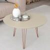 Mesa de Centro Redonda Pés de Ferro 67 x 67 x 38 Evolution Patrimar Off White