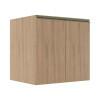 Módulo Balcão 70cm 2 Portas 100% MDF Cozinha Modulada Gold J Robel Hanover/Hanover