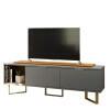 Rack Para TV 65 Polegadas Sagary 1.8 EAX Móveis Cinza/Tauari