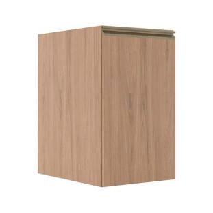 Módulo Balcão 40cm 1 Porta 100% MDF Cozinha Modulada Gold J Robel Hanover/Hanover