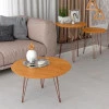 Mesa de Centro Redonda Pés de Ferro 67 x 67 x 38 Evolution Patrimar Cinamomo