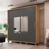 Guarda Roupa Casal 228cm Portas Correr Com Espelho Monte Carlo RV Móveis Cinamomo/Grafite