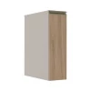 Módulo Balcão 20cm 1 Porta 100% MDF Cozinha Modulada Gold Robel Fendi/Hanover