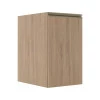 Módulo Balcão 40cm 1 Porta 100% MDF Cozinha Modulada Gold Robel Hanover/Hanover