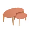 Conjunto de Mesa de Centro Florida 105cm e 55cm Lukaliam Luanda/Freijo
