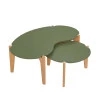 Conjunto de Mesa de Centro Florida 105cm e 55cm Lukaliam Verde Floresta/Freijo
