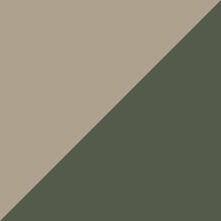Amostra oficial enviada: Fendi / Sálvia